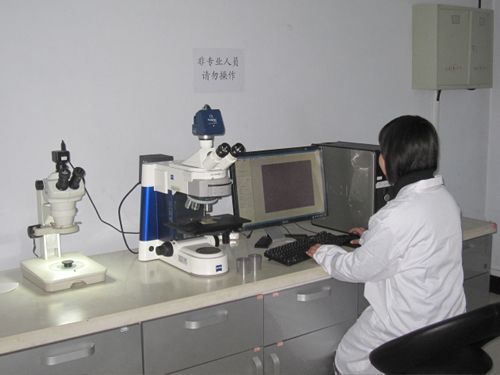 c鿴ԔϢ<br>}˾@΢R xΔ13903